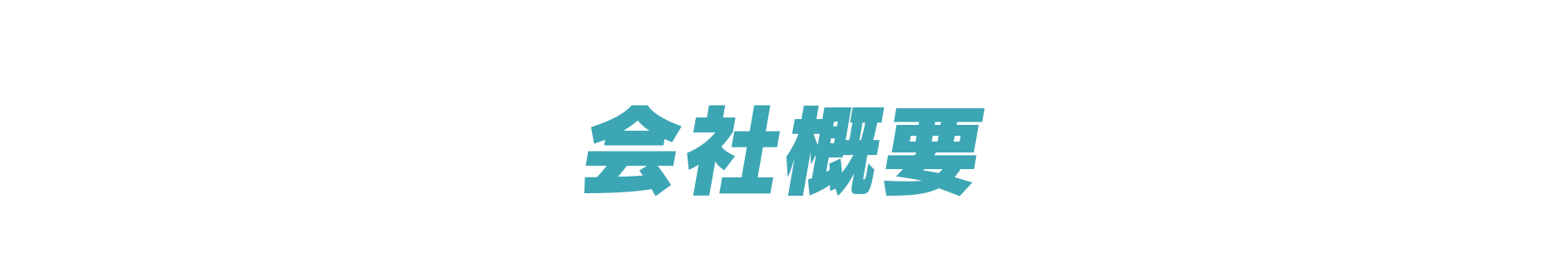 会社概要|[公式]まるなげ太郎|税理士のサブスク|確定申告・青色申告・経理を税理士に丸投げするサブスクリプション（サブスク）サービスです