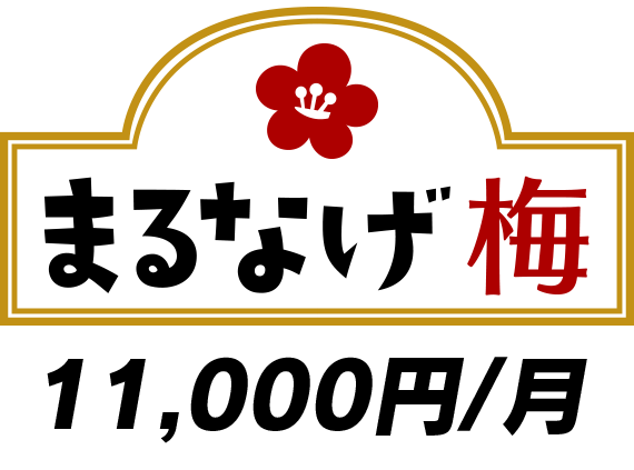 [公式]まるなげ太郎|税理士のサブスク|確定申告・青色申告・経理を税理士に丸投げするサブスクリプション（サブスク）サービスです
